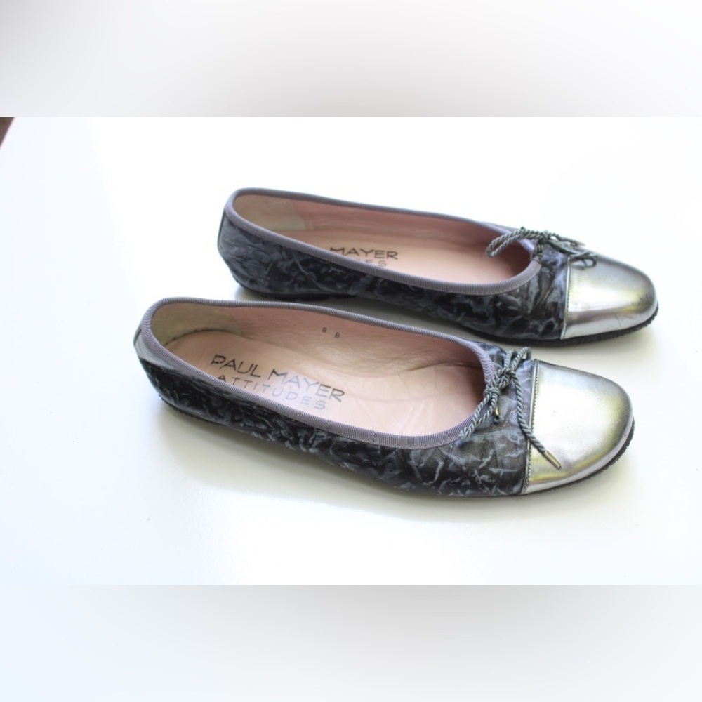 Paul Mayer attitudes flats